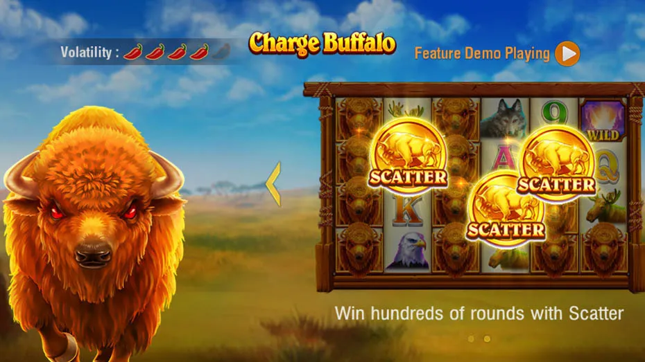 Charge Buffalo features