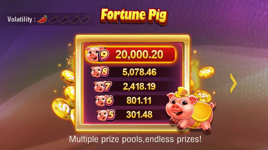 fortune pig extended