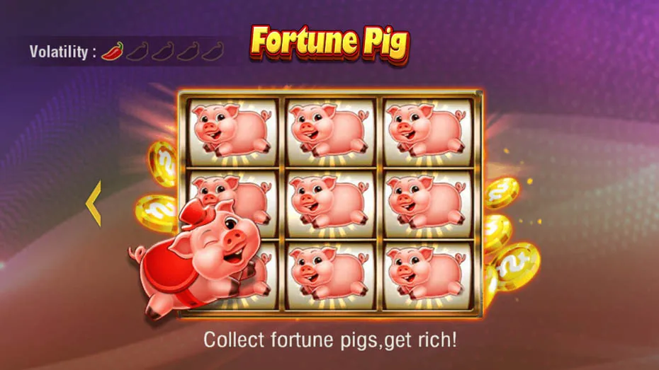 fortune pig bonuses