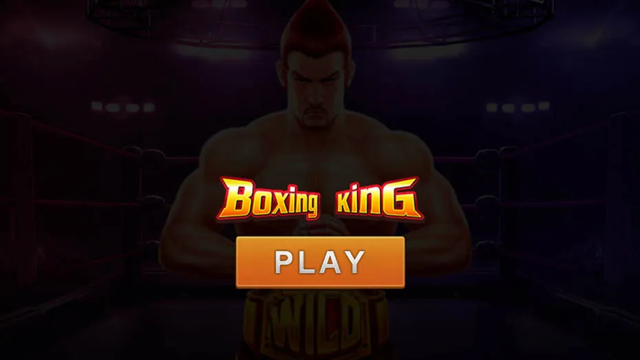 bankroll boxing king